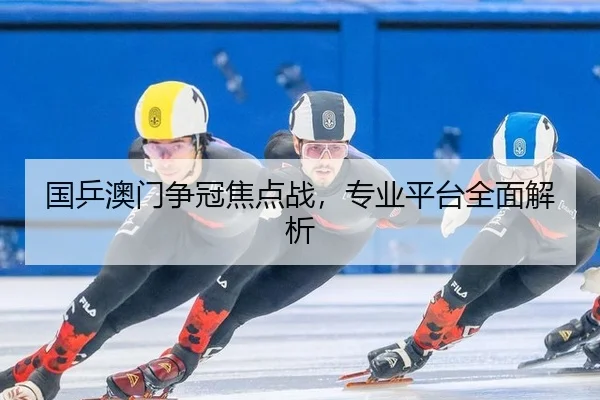 国乒澳门争冠焦点战，专业平台全面解析